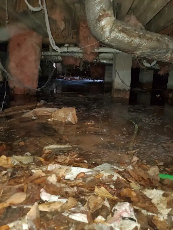 Crawl space flood assessment for Leak Detection & Repair in Warrington