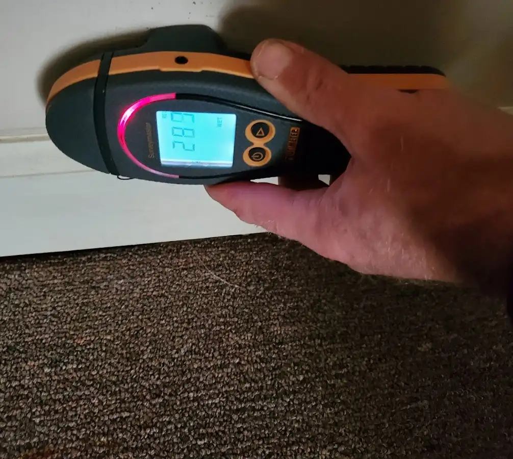 Moisture detection at baseboard during Sewage Cleanup & Sanitation in Warrington